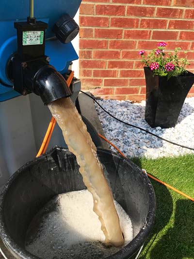 Professional, affordable Wynyard carpet, rug, sofa and upholstery cleaners