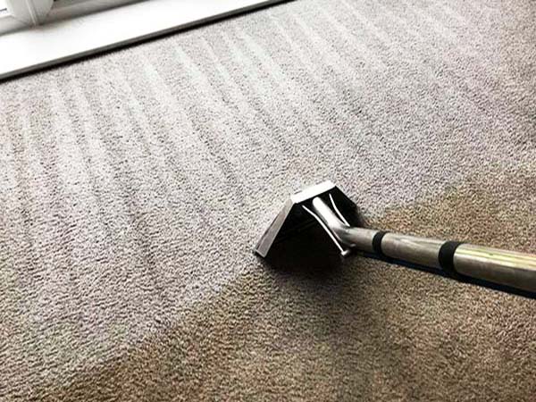 Professional, affordable Wynyard carpet, rug, sofa and upholstery cleaners