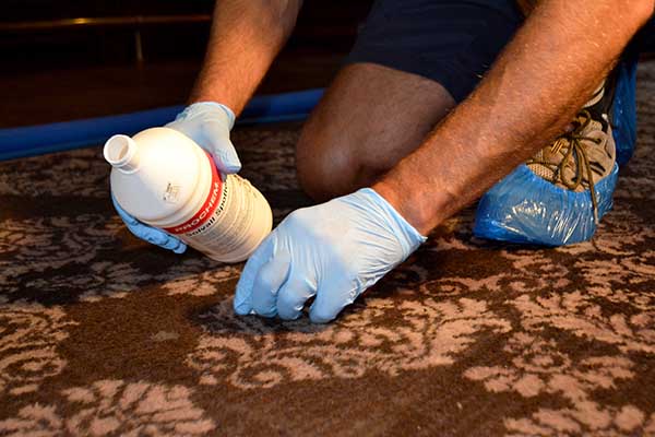 Professional commercial carpet, rug, sofa and upholstery cleaning in Wynyard, Billingham, Hartlepool and Wolviston