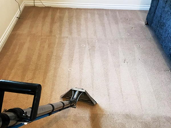 Professional, affordable Wynyard carpet, rug, sofa and upholstery cleaners