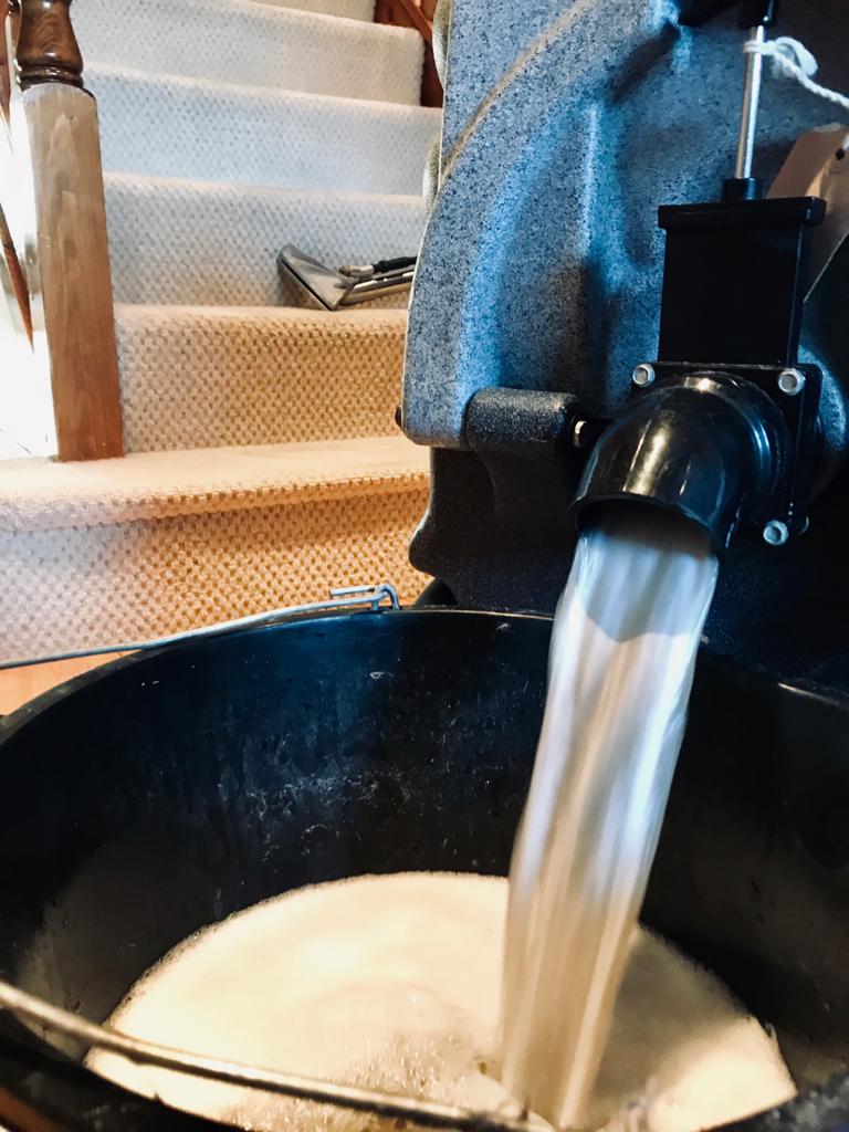 Professional, affordable Wynyard carpet, rug, sofa and upholstery cleaners