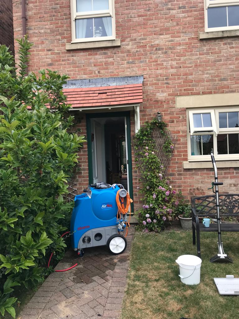 Professional, affordable Wynyard carpet, rug, sofa and upholstery cleaners